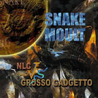 Snake Moult by Grosso Gadgetto