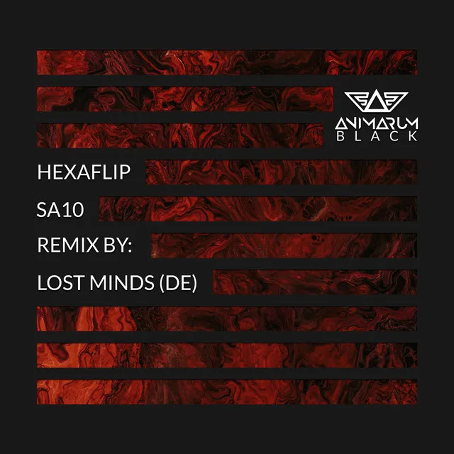 Sa10 - Lost Minds (DE) Remix