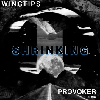 Shrinking (Provoker Remix) by Provoker