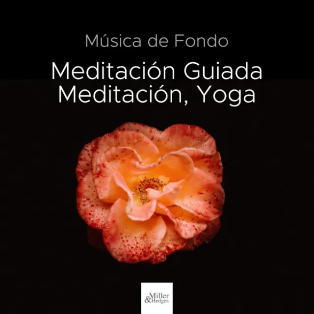 Música de Fondo para Meditación Guiada, Meditación, Yoga