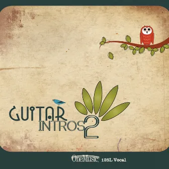 Guitar Intros 2 by Jonathan Slott