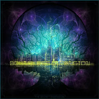 The Secret Dimension by Boundless Dimension