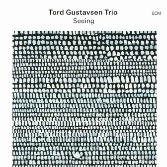 The Old Church by Tord Gustavsen Trio