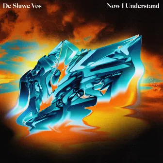 Now I Understand by De Sluwe Vos