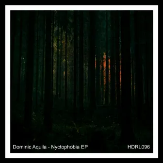 Nyctophobia EP by Dominic Aquila