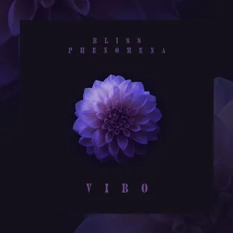 Vibo by Bliss Phenomena