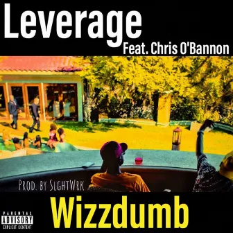 Leverage by Wizzdumb