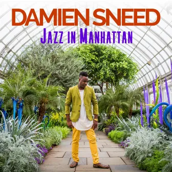 Jazz in Manhattan by Damien Sneed