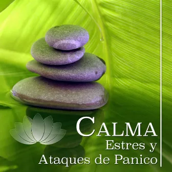 Calma: Musica para el Estres y Ataques de Panico by Unknown Artist