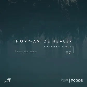 Seventh Vinyl by Horisani Da Healer