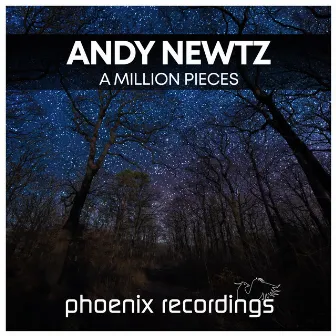 A Million Pieces by Andy Newtz