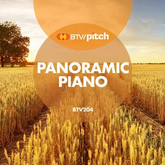 Panoramic Piano by Bob Bradley