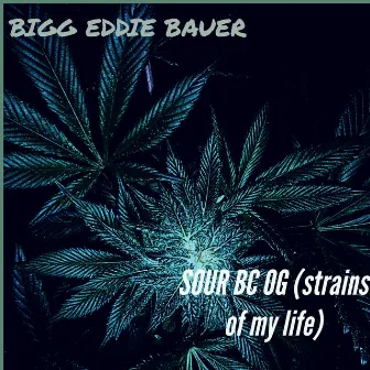 Sour BC OG by Bigg Eddie Bauer