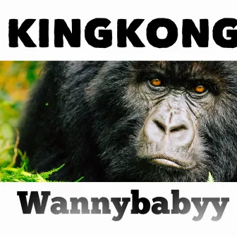 King Kong by Wannybabyy