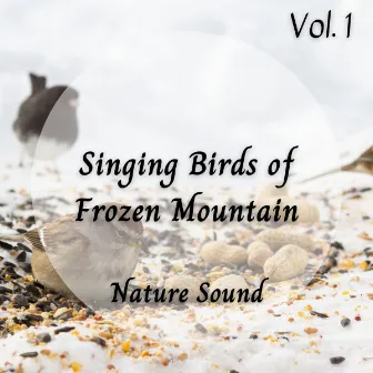 Nature Sound: Singing Birds of Frozen Mountain Vol. 1 by Super Natural