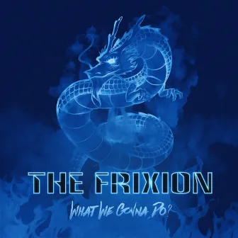 What We Gonna Do? by The Frixion