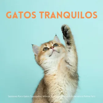 Sesiones Para Gatos Tranquilos: Música Relajada Para Una Experiencia Felina Feliz by Guarida de música de gatos