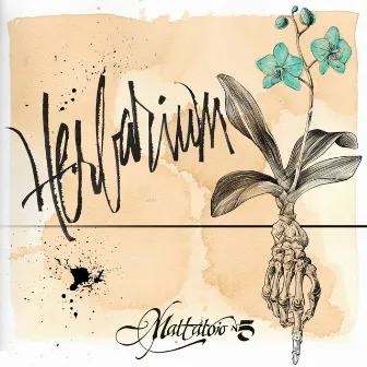 Herbarium by Mattatoio N5