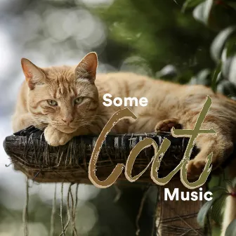 Some Cat Music by Some Relaxing Music for Cats