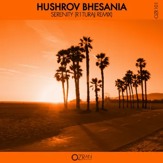 Serenity (R1TURAJ Remix) by Hushrov Bhesania