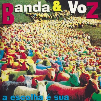 A Escolha é Sua by Banda & Voz