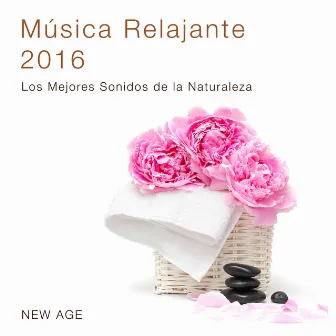 Música Relajante 2016: Los Mejores Sonidos de la Naturaleza 2016 para Relajar Cuerpo y Mente by Unknown Artist