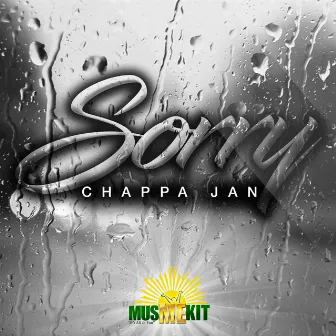 Sorry by Chappa Jan