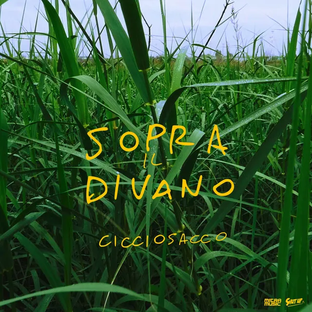 Sopra il Divano