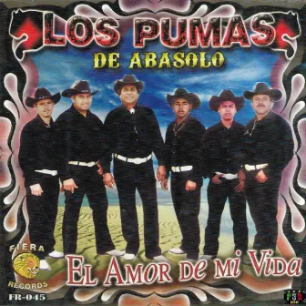 El Amor De Mi Vida by Los Pumas De Abasolo