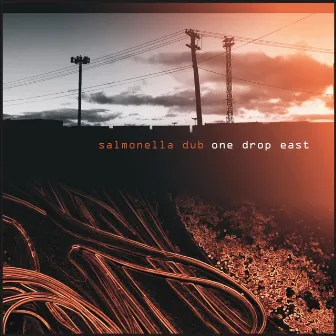 One Drop East by Salmonella Dub