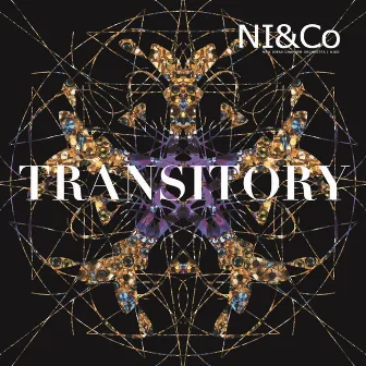 Transitory by NICO Ensemble