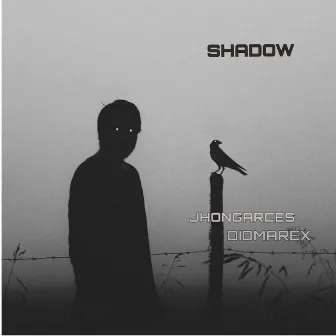 Shadow (with Diomarex) by jhon garces