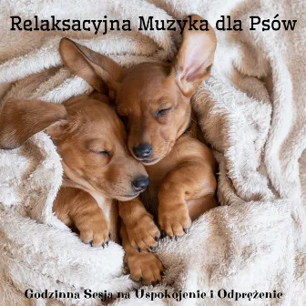 Relaksacyjna Muzyka dla Psów: Godzinna Sesja na Uspokojenie i Odprężenie by Dog Music!