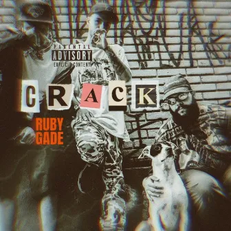 Crack by Ruby Gade