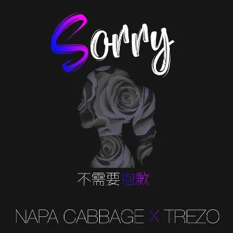 不需要抱歉 by Napa Cabbage