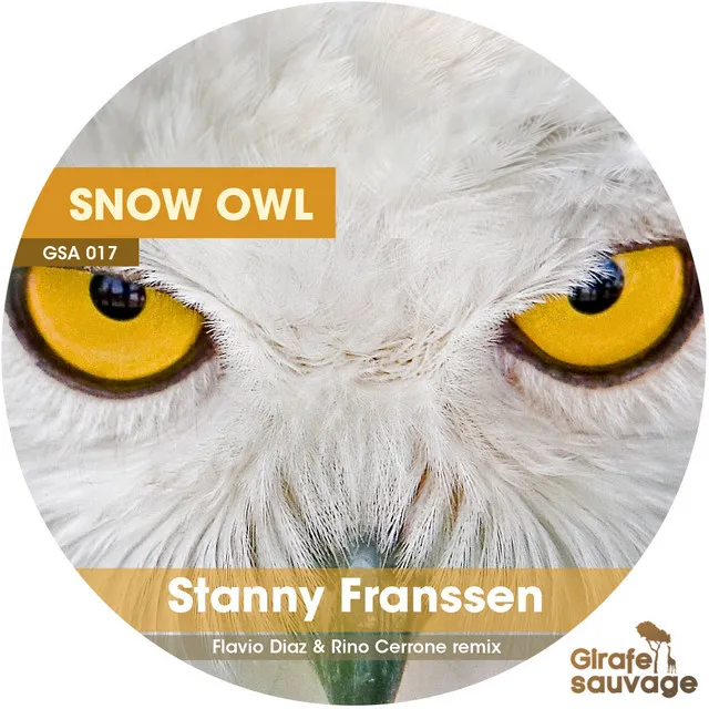 Snow Owl