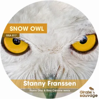 Snow Owl by Stanny Franssen