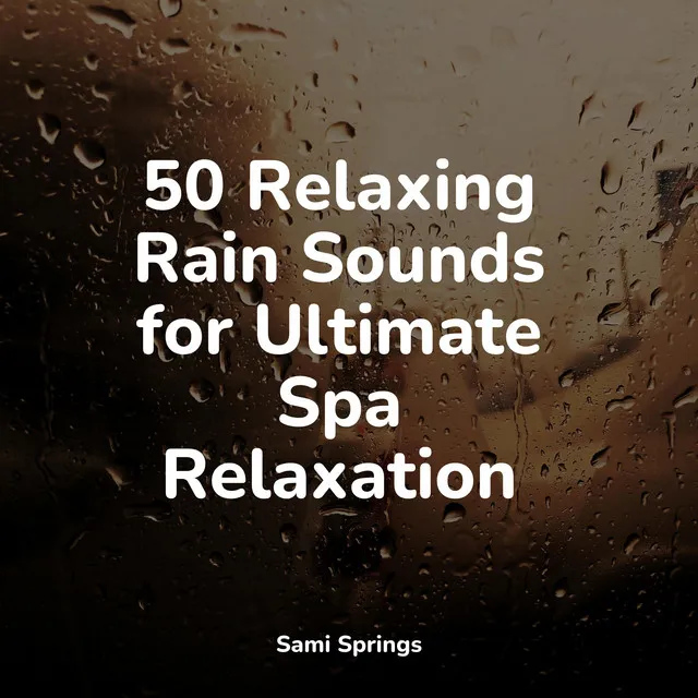 50 Amazing Meditation Rain Sounds