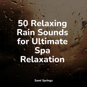 50 Amazing Meditation Rain Sounds by Musica Para Dormir y Sonidos de la Naturaleza