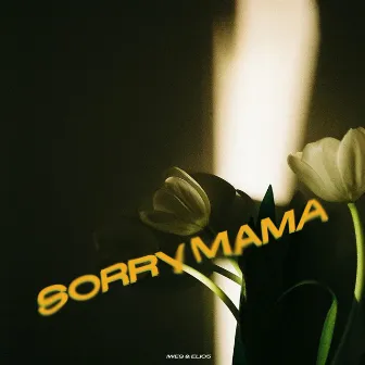 SORRY MAMA by Iwes