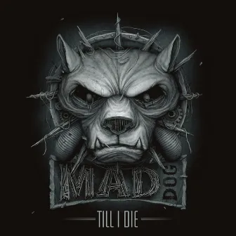 Till I Die Vol.2 by Dj Mad Dog