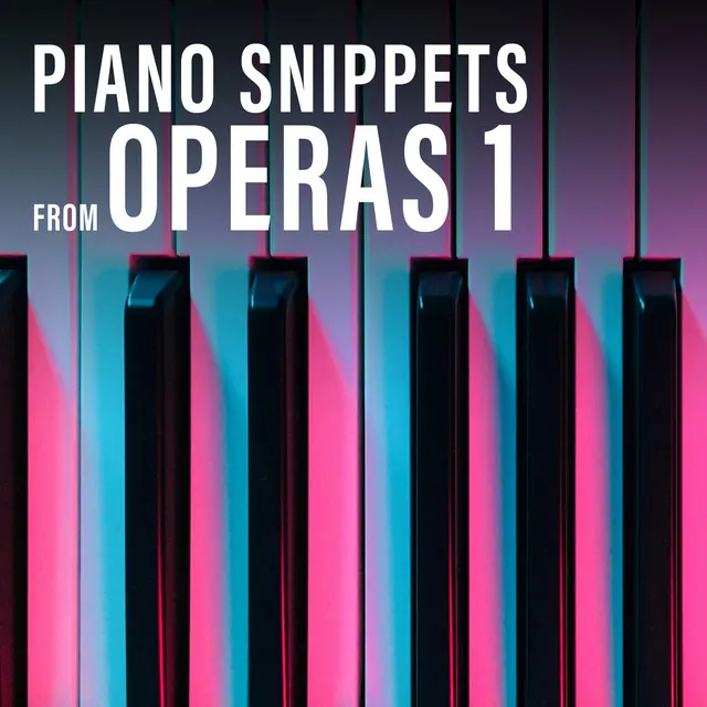 Piano Snippets from Operas, Vol. 1