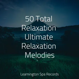 50 Total Relaxation Ultimate Relaxation Melodies by Loopable Rain