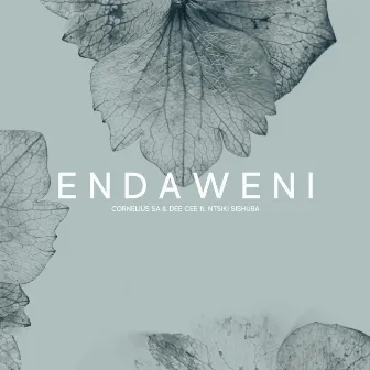 Endaweni (feat. Ntsiki Sishuba) by Cornelius SA