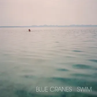 Swim by Blue Cranes