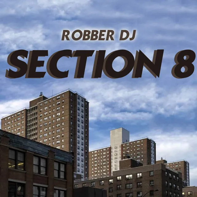 Section 8