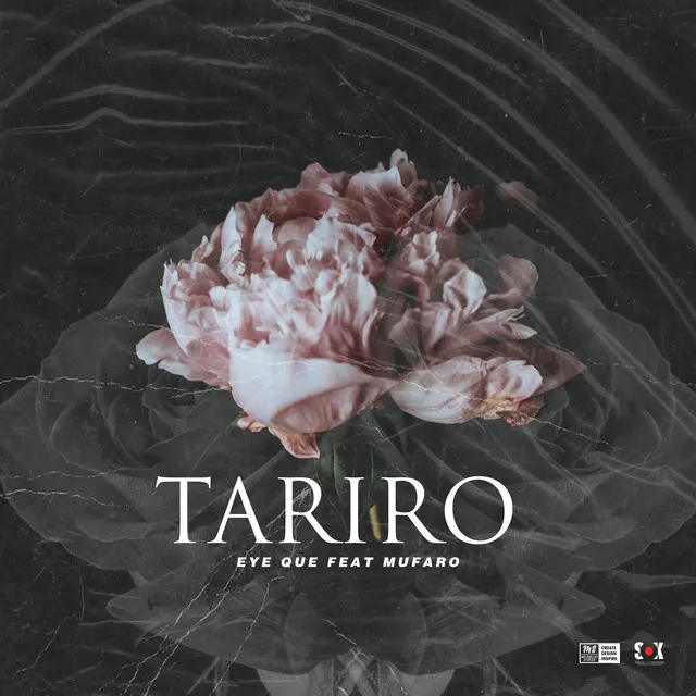 Tariro