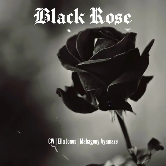 Black Rose