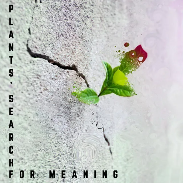 Plants' Search for Meaning