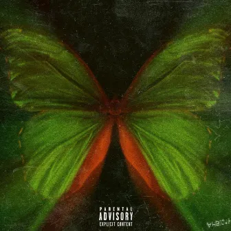 The Butterfly Effect by Tuu Yung